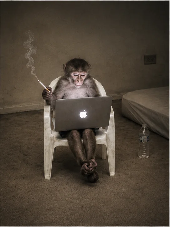 The macaque, the same, but more worn out.
