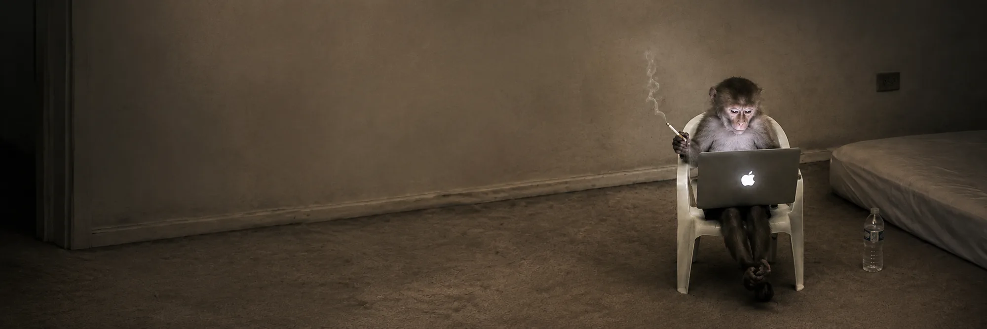 A macaque sits in a white plastic chair with a glowing MacBook, in an empty sepia room with a mattress on the floor.